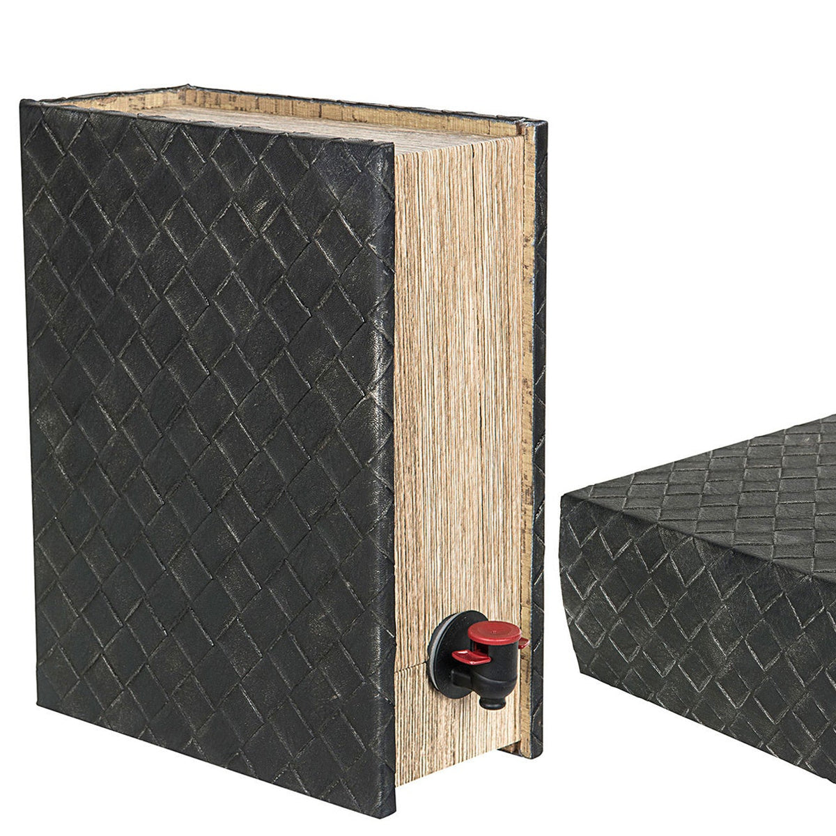 BÓK FYRIR KASSAVÍN