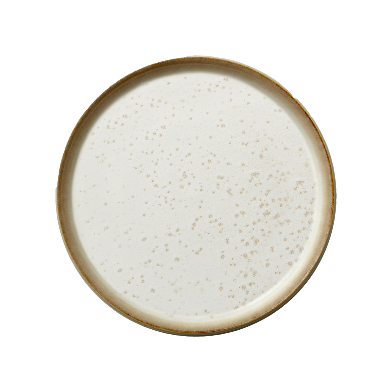 GASTRO diskur - 17cm.