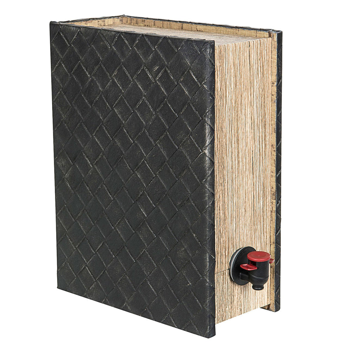 BÓK FYRIR KASSAVÍN