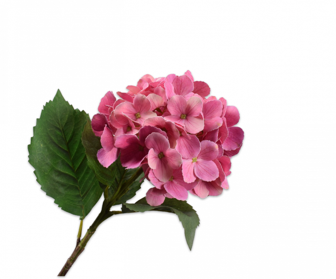 HYDRANGEA STEM - 47cm