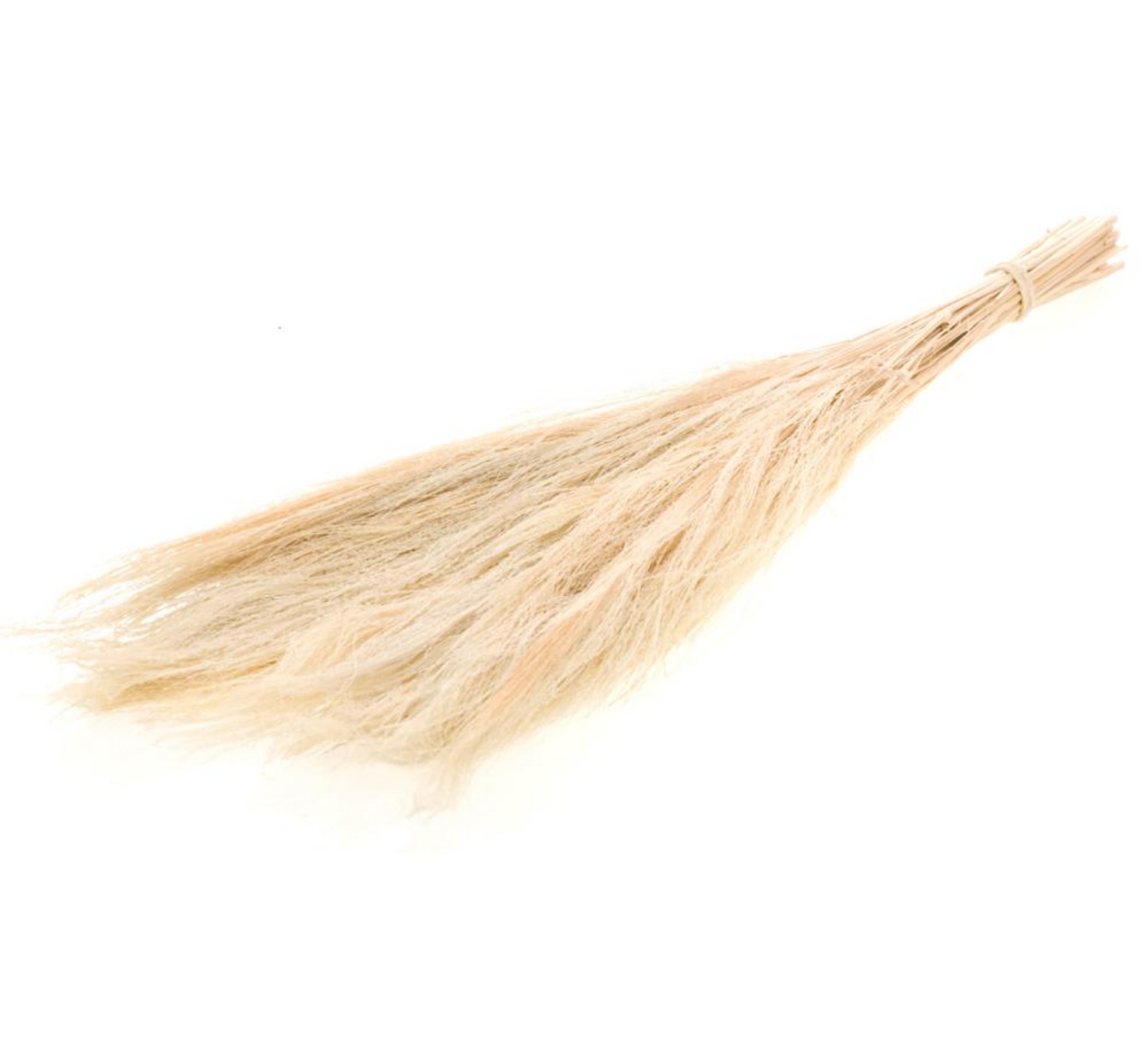 Broom grass 65cm - Natural